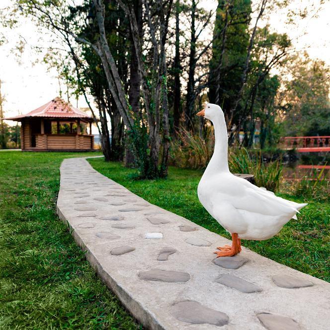 Ozero Divnoe Eco-Hotel Lazarevskoye Exterior foto